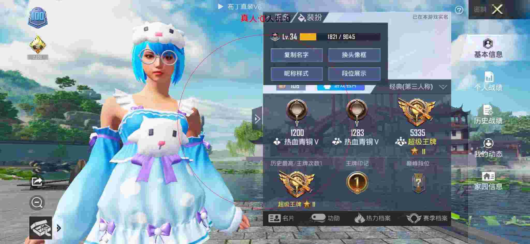 和平精英布丁直装透视 - 和平精英绿叶辅助官网下载辅助预览图
